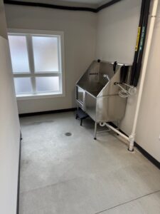 A stainless steel utility sink with a faucet stands in the corner of a room with light-colored walls and a frosted window. Black and white pipes are visible along the walls near the sink. The floor is concrete.